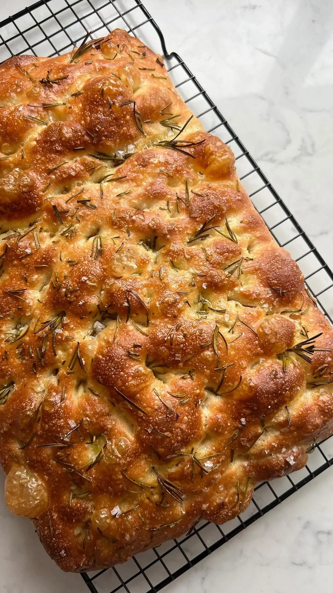 focaccia seul